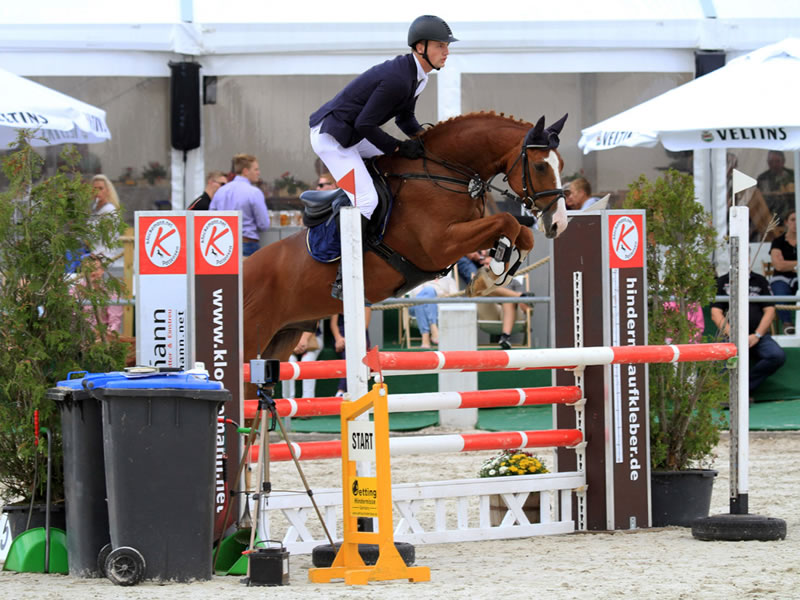 Springpferd Barnie PJ v. Balou du Rouet - Cassus 2016