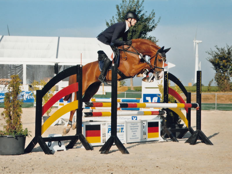 Springpferd Barnie PJ 2016
