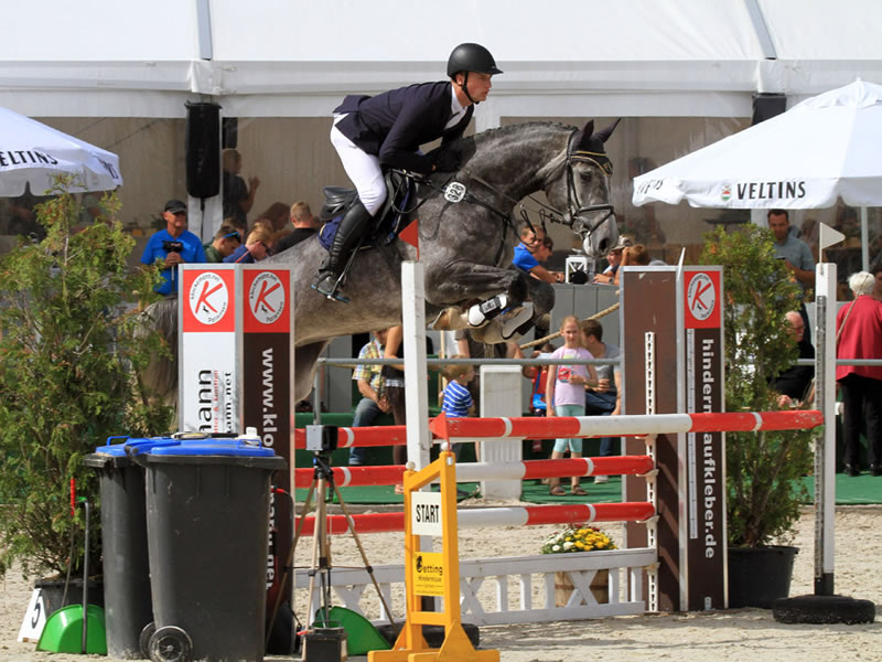 Springpferd Grande Cherie PJ 2016