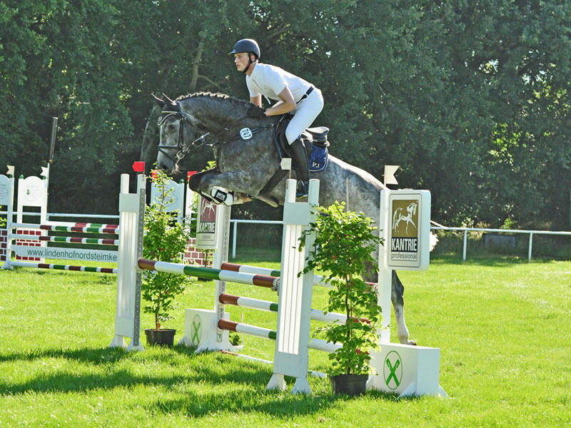 Springpferd Grande Cherie PJ 2016