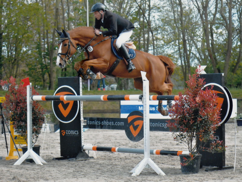 Halbschwester zu Queesy PJ: Queensberry PJ v. Quidam de Revel - internationales Springpferd