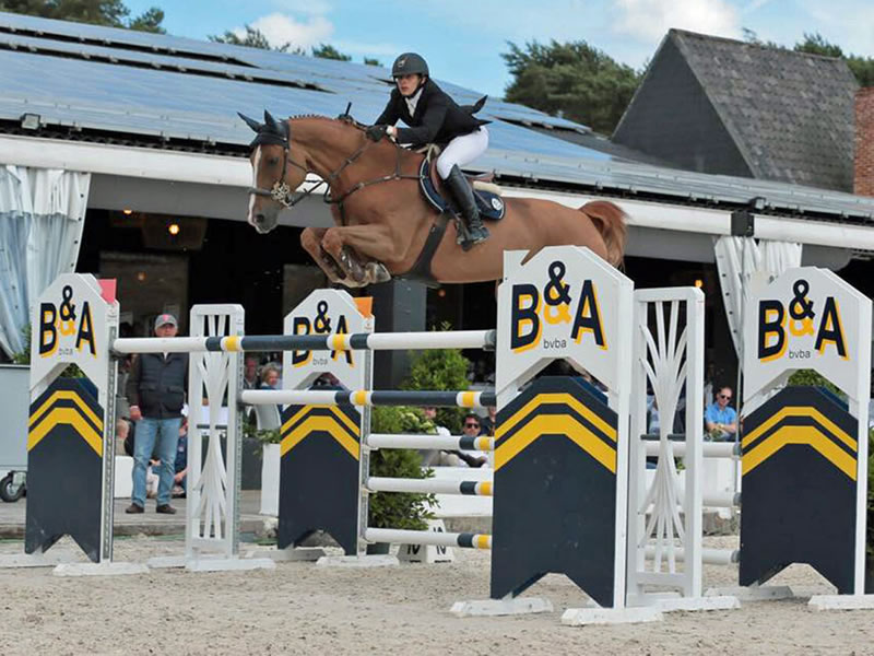 Halbbruder zu Queesy PJ: Quentin PJ v. Quidam de Revel - internationales Springpferd