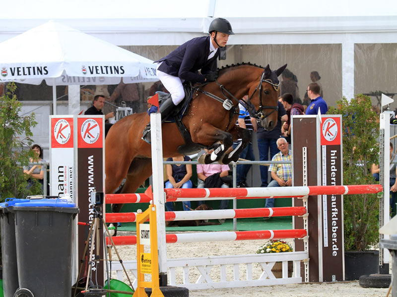 Springpferd Spooks PJ v. Stolzenberg - Loredo