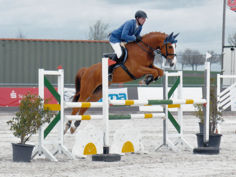 Springpferd Barnie PJ v. Balou du Rouet - Cassus 2016