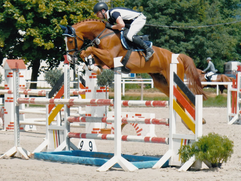 Springpferd Barnie PJ v. Balou du Rouet - Cassus 2017