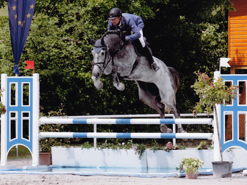 Springpferd Grande Cherie PJ 2017 v. Grey Top - Contendro I