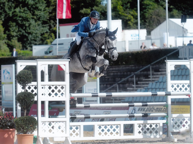 Springpferd Grande Cherie PJ 2017 v. Grey Top - Contendro I