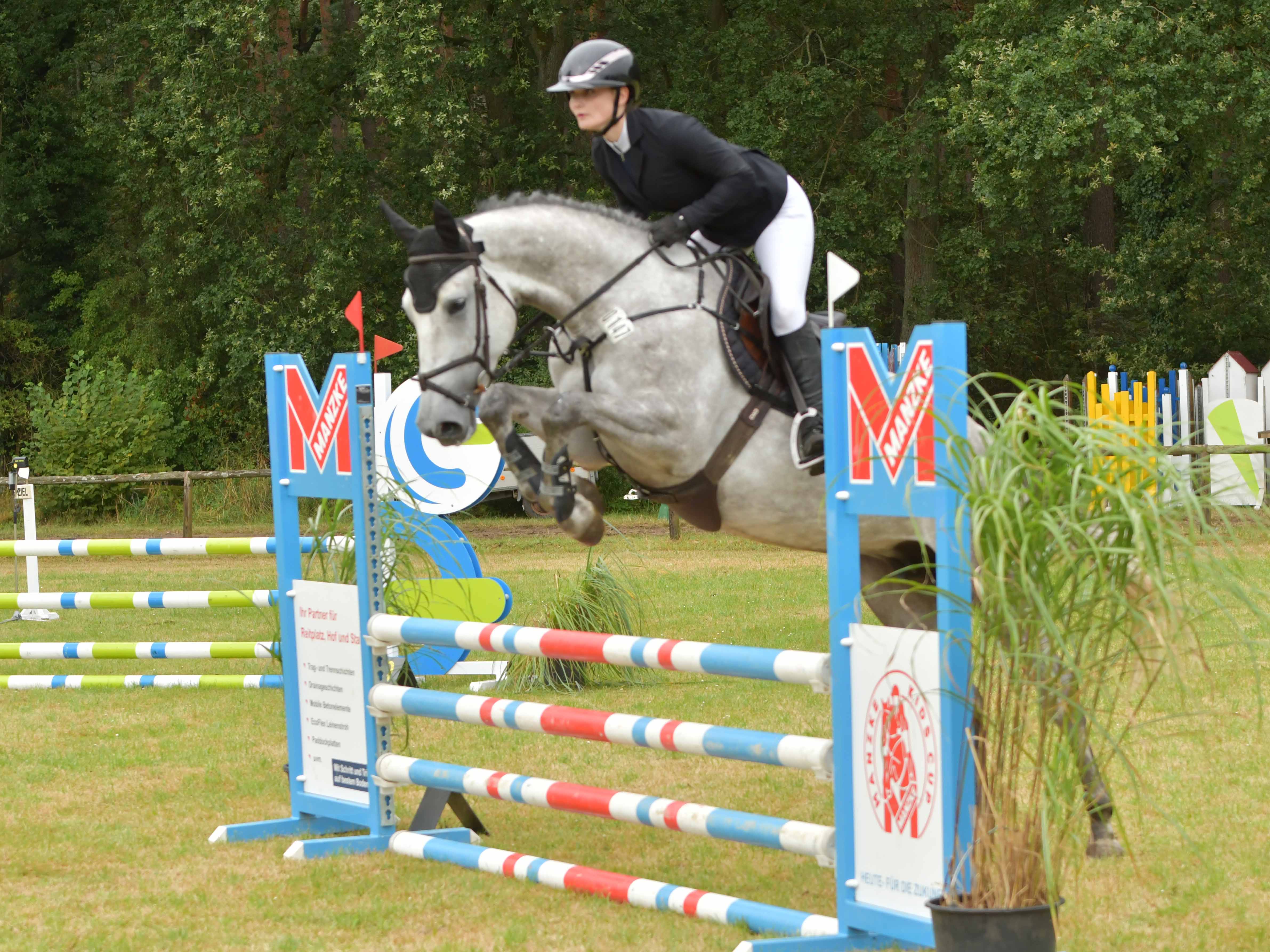 Springpferd Cool Candy PJ